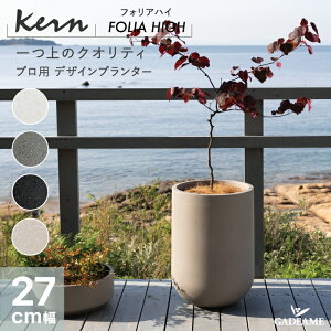 yNEW!zv^[ O/ KERN FOLIA HIGH tHAnC a27cm Eh V_[ ی^ t@Co[OX GFRP i ό Aؔ A  Jo[ |bg ꌊ _fUC K[