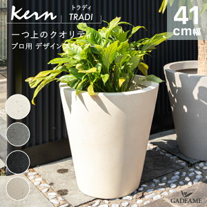 yNEW!zv^[ O/ KERN TRADI gfB 41cm Eh V_[ t@Co[OX GFRP i ό Aؔ A ^  Jo[ |bg ꌊ _fUC K[fjO 