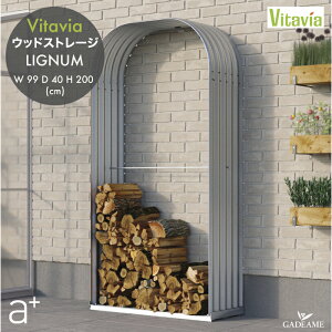 yiE׎zt@C[EbhXg[W Vitavia  LIGNUM i:VFWSH401al@firewood storage dbN dۊ ObN d[ dXgbN O   J f}[N kf