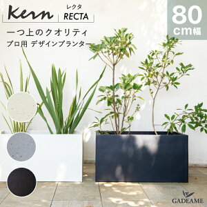 yNEW!zԌʉi v^[ ^ O/ KERN RECTA 80cm N^O `  t@Co[OX GFRP i y Aؔ A Jo[ |bg ꌊ d؂ _fUC 