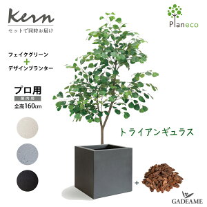 gCAMX tFCNO[ planeco H160cm KERN CUBUS Zbg z 40cmp XNGA L[u ` t@Co[OX GFRP i y _fUC  K[f JtF X