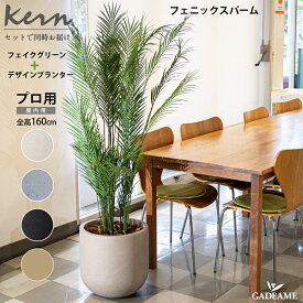 【NEW!】フェニックスパーム フェイクグリーン planeco H160cm KERN FOLIA セット 同時配送 38cmシリンダータイプ ファイバーグラス GFRP 高品質 軽量 耐候 モダンデザイン おしゃれ ガーデン カフェ 店舗 オフィス 人工観葉植物 インテリア