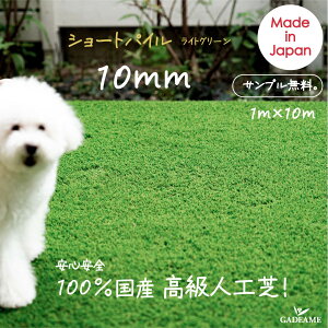 YlH X^[OX ~bNXJ[10mmJ[^Cv ~bNXF YlH [ ͎ł܂ {ɋ߂  lH [ 1m×10my10āzŐ ybg {lH hlH