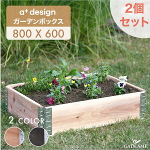 �y������2�Z�b�g P5�{�z�K�[�f���{�b�N�X 800x600 �i�`������/�u���b�N ad-0806nl/bk a-plus �G�[�v���X Garden Box W800 80cm 60cm �ؐ� �v�����^�[ �K�[�f���x�b�h ���C�Y�h�x�b�h ���C�Y�h�K�[�f�� ����