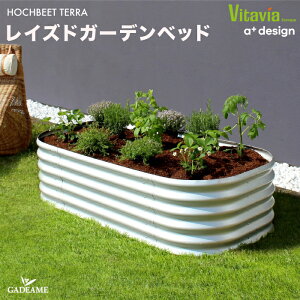 K[fxbh v^[ Vitavia  HOCHBEET TERRA i:VRGBB402al CYhxbh CYhK[f ^ グԒd GNXeA K[fjO  n[u ƒ؉ A f}[N kf