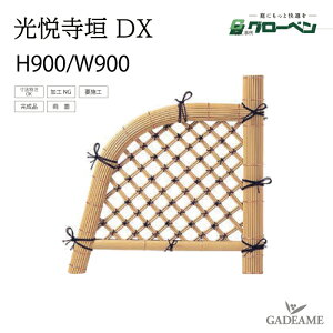 _ x_ DX H900 W900 O[x lH| v  i_ gsv i 뉀  a Ƌ ډB ANZg ډB  a VR|ʑ_ {뉀 a