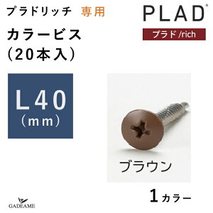 【カラービス L40mm】プラド/rich専用 ビス φ4×L40mm 20本入り ブラウン プラドリッチ専用 ネジ プラドフェンス 目隠しフェンス 支柱 境界 仕切り 屋外 柵 高強度 高耐候 横貼 縦貼 加工 外構 エク