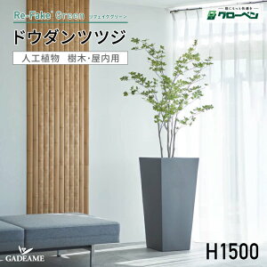 O[x tFCNO[ hE_ccW H1500 plHA tFCNO[ lHA lH p nhCh  CeA A ItBX fBXvC  