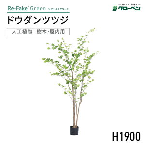 lHA O[x tFCNO[ hE_ccW H1900 p tFCNO[ lH p nhCh  CeA A ItBX fBXvC    