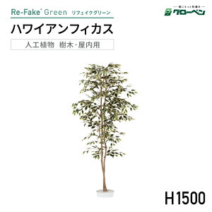 lHA O[x tFCNO[ nCAtBJX H1500 plHA tFCNO[ lH p t nhCh  CeA A ItBX IuW