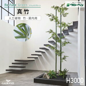 lHA O[x tFCNO[ ^| H3000 p tFCNO[ lH lH| p nhCh  CeA A ItBX IuWF fBXvC   