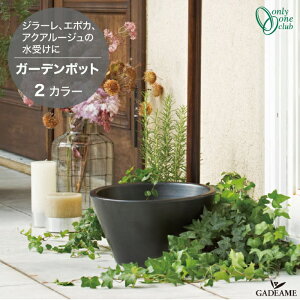  K[f|bgyI[Nuz K[fp   Vv _   ܂ izCgmi:TK3-E-DBWn ubN [TK3-E-DBB]