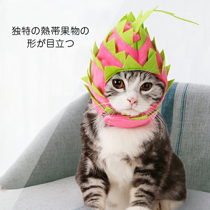 楽天市場 ハロウィン ペット用 変身 仮装 ペット 帽子 小型犬 犬 キャップ 犬用 ドラゴンフルーツ おしゃれ 子犬 かぶりもの コスプレ 秋 冬 犬用品 ペット用品 犬グッズ ペットグッズ コスチューム服 犬の服 小型 中型 大型 着ぐるみ 動物服 ガジェリー