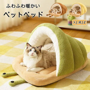 ybgxbh h[^ g Lpxbh h[nEX ~p LnEX Xbp^ ӂӂ   ybgpQ ybgnEX ۉh 􂦂 ΍ ybgNbV 