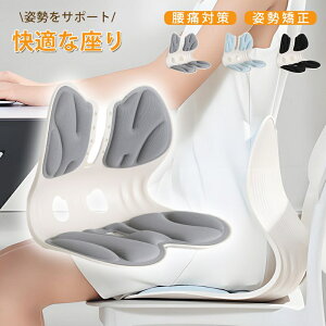 yV!P5{zp`FA ՃT|[g /荘΍ pǂȂ ItBX`FA/Q[`FA//֎qpNbV Ch y ^т₷ 150kg܂őΉ K