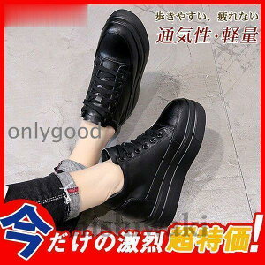 Xj[J[ fB[X V[NbgV[Y Cq[  8cm V[Y Vv nCq[ nCJbg  