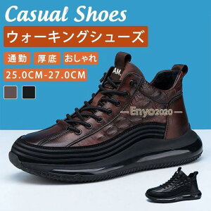 Xj[J[ Y amC EH[LOV[Y V[Y C  ʋ ʊw U Vv JWA  t@bV