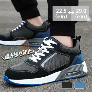 SC Xj[J[ Y fB[X jp |c NbV ubN Z[teB[ ݔh~ ƌC ʋC y K