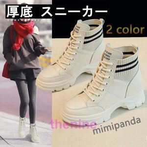 tH~Cq[Xj[J[ fB[X  Xj[J[ X|[eB[ JWA Zu r ₷ ubN bh V[Y C fB[XgAbv