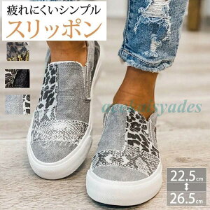 Xb| fB[X EFbW\[ ɂ Xj[J[  [Jbg Cq[ JWAV[Y EhgD ɂ  ~