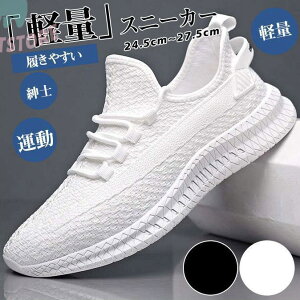 Xj[J[ Y  JWAV[Y C EH[LOV[Y X|[c ^  Vv ʋC y _炩 Ȃ am t