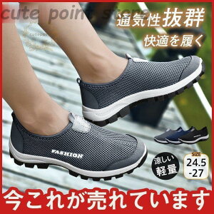 YXj[J[  ^p V[Y bV ʊwC ^C y ʋCQ AEghA ~  Ȃ  ₷