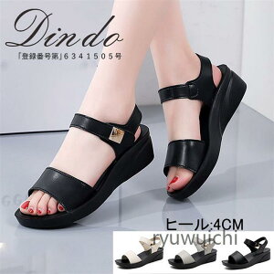 ItBXT_ i[XV[Y i[XT_ v {v   fB[X i[XV[Y ɂ É ItBXT_  r