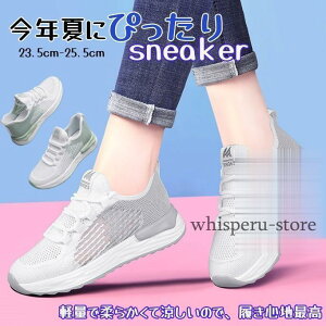 Xj[J[ ăXj[J[ fB[X  StV[Y bV ėp  EH[LO C  JWAV[Y ʋC y ̓2024