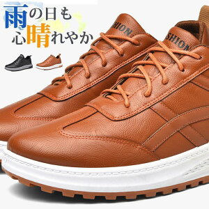 Xj[J[ Y h J  ~ Jp hV[Y  ʋ ʊw EH[LOV[Y JWAV[Y ^C WMO 