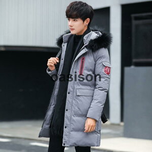 _EWPbg Y ~AE^[ t[ht tFCNt@[  _ER[g O hh X H~OR[g g y