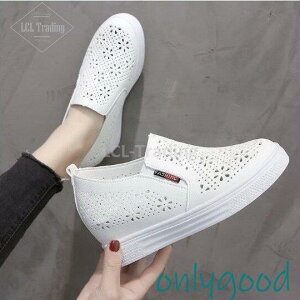 Xb|fB[XXj[J[bVԕtČCq[RtH[gV[YCɂȂ₷ʋCQzCg