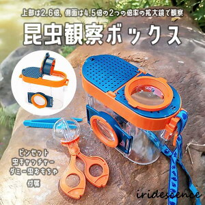 ώ@{bNX ̏WLbg 4_Zbg P[X P[W Yt  ώ@  g勾  sZbg Xgbv ^