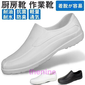 ~[C [N} RbNV[Y ~[C  Lb` SC HX EVAf y ϖ ϊ h R hL ɂ Ռz CV[Y