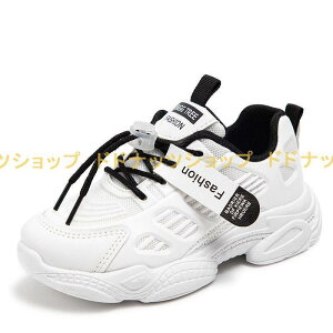 qC Xj[J[ ̎q j̎q qp tďH ^C ʋC ~ JWAV[Y WjA jZbNX jOV[Y  ^ ʊw