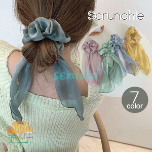 VV fB[X wAANZT[ VtH LL  O { 傫 i GKg ݊ wAS  l 