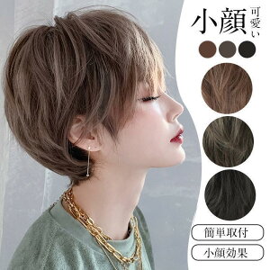 tEBbO x[V[g V[gEBbO EBbO  Ԃ邾 O͂˃{u  ނ R p VjA