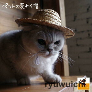 ybgpi Lnbg Xq Xq Ԃ lR CAT Ck  O΍ ˂  ߋ G ObY I 