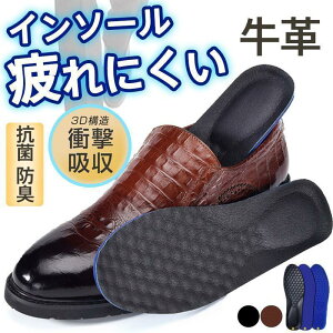 C\[ Ռz ~ v ɂ hL z  ᔽ d vC Xj[J[ X|[c ʋC jp RtH[g i