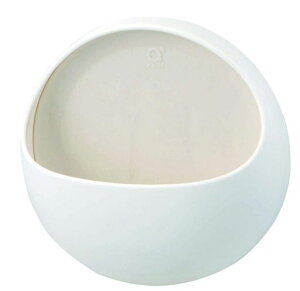 SANEI(TGC)oX|񂨂zCg