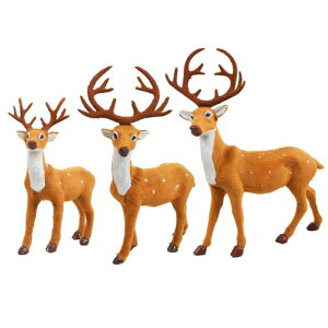 1ZbggiJCuNX}Xi㑕30cmʂ݃NX}Xi͋CNX}XgiJCugiJCo^Cf[C~l[VCgNc