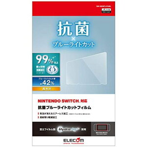 GRtیtBRہERECXyNintendoSwitchpzu[CgJbgGM-NS20FLHYABL