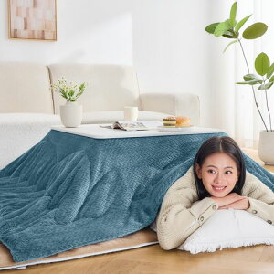 EMMEzc`R^czcgӂƂ190x240cmpzc|zcxtlo[Vu~pR^cӂƂ􂦂ÓdCh~^Pic