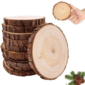 10ؕДۂؐXCXVR؃XCXfBXNDIYp[cؐ̃XCXVRؖؕЃVvi`DIYH|ifBXNی`|Bep蕨Jbv}bgLOi(a10-c