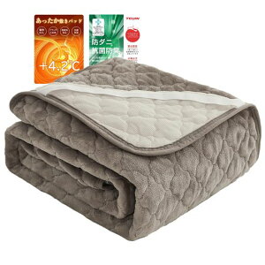 VKIngeroom~pbhVO~o[VuyTEIJIN(l)}CeBgbvȁztl&btgV[cӂӂې􂢉\RۖhLÓdC}lSt100x200cmOc