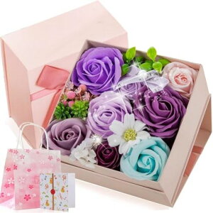 ̓̃v[g\[vt[o`Mtg{bNXԃzCgf[aLO搶̓̓]ȂǍœKƂẴv[gjȓwƏj