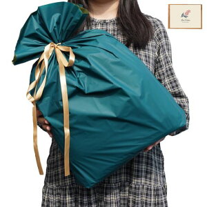 bsO   v[g  傫 n  W45×H56 CM Mtg В v[gp 蕨  a  NX}X o^C LO j ̓ bZ[WJ[ht