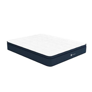 Avenco}bgXVO}bgX24cm}bgẌU|PbgRC}bgX|Y[tH[Lxbh}bgX9][\VO}bgXʋC悭c