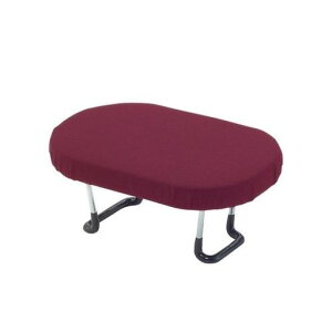 ZFYƍ֎qGW{̃TCY:16x25x10.5cm