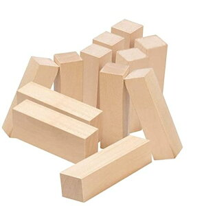 DFsuccesؒubNdグؐ`̃EbhDIYH|ip蒤胂fS҂ɓKp(12Zbg)