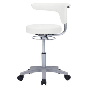 �T�����T�v���C ���f�B�J���`�F�A �z���C�g SNC-HP3VW2